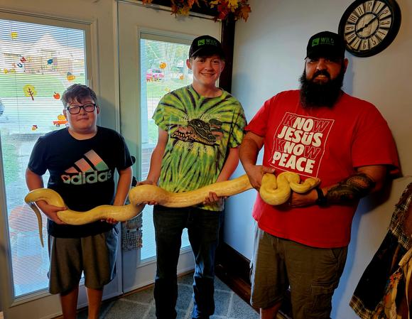 Daisy, 9.5 ft Pearl Albino Burmese Python